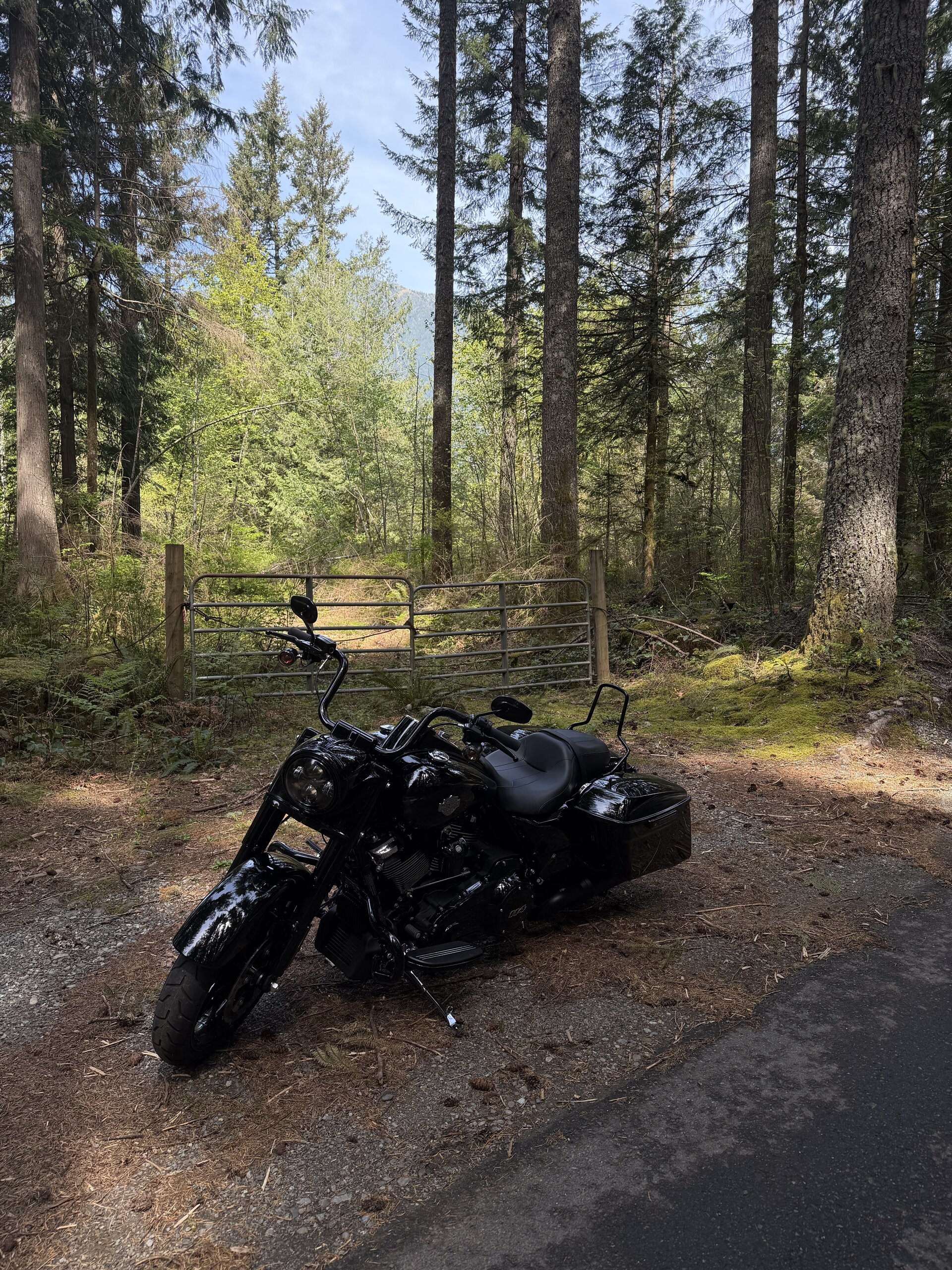Road King adventure photo