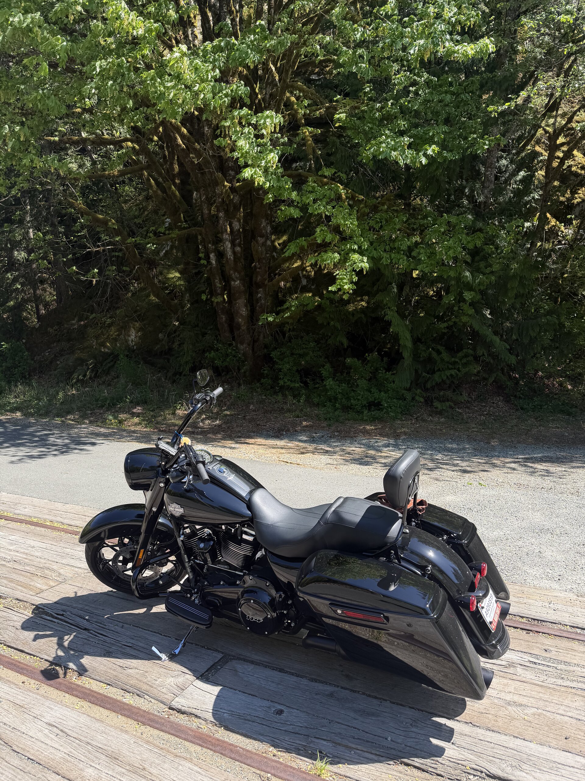 Road King adventure photo