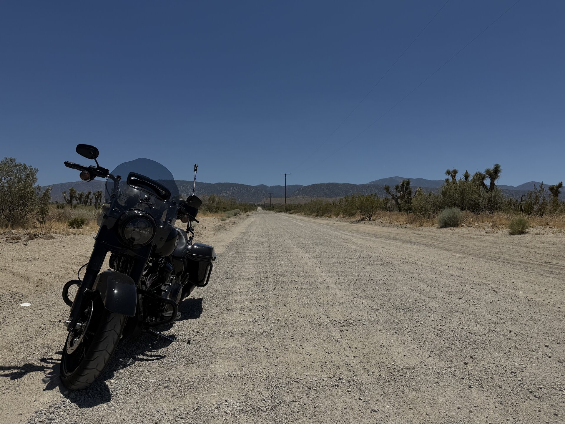 Road King adventure photo